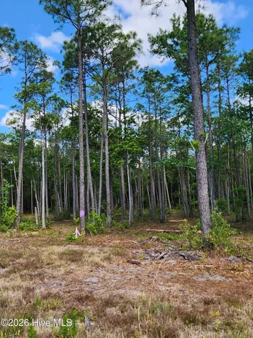 372 Greenview Ranch Wilmington NC 28411