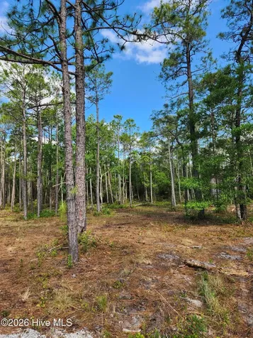 372 Greenview Ranch Wilmington NC 28411