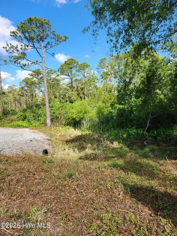 372 Greenview Ranch Wilmington NC 28411