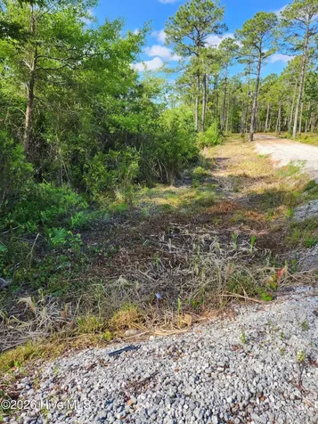372 Greenview Ranch Wilmington NC 28411