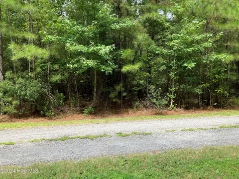 Lot 3 Kings Land Court Gates NC 27937