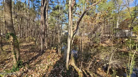 184 Shady Lane Hertford NC 27944