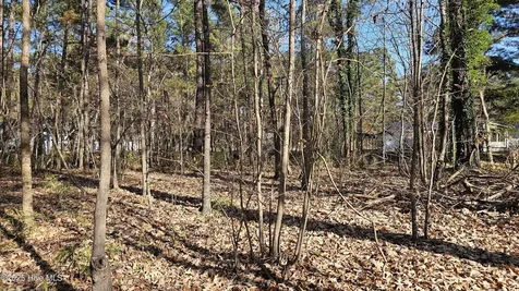 184 Shady Lane Hertford NC 27944