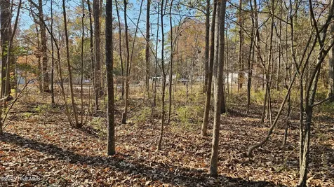 184 Shady Lane Hertford NC 27944