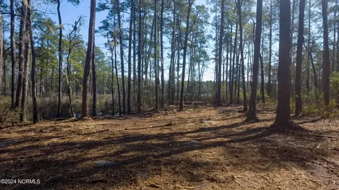 15 Alexander Drive Belhaven NC 27810