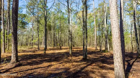 15 Alexander Drive Belhaven NC 27810