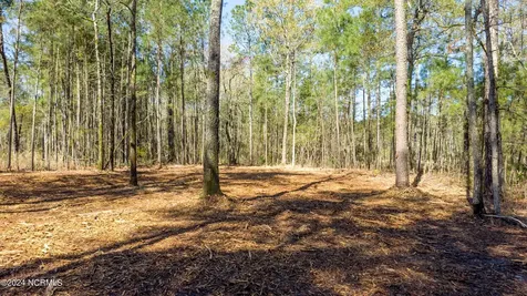 15 Alexander Drive Belhaven NC 27810