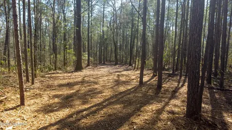 15 Alexander Drive Belhaven NC 27810