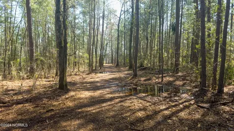 15 Alexander Drive Belhaven NC 27810