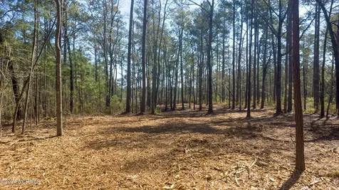 15 Alexander Drive Belhaven NC 27810
