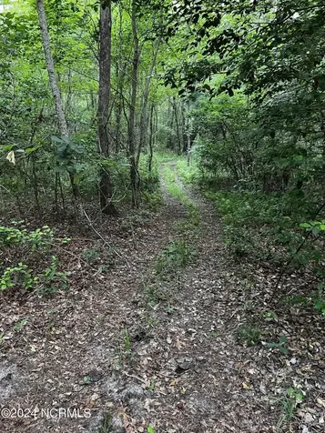 Tbd Soney Lane Gatesville NC 27938