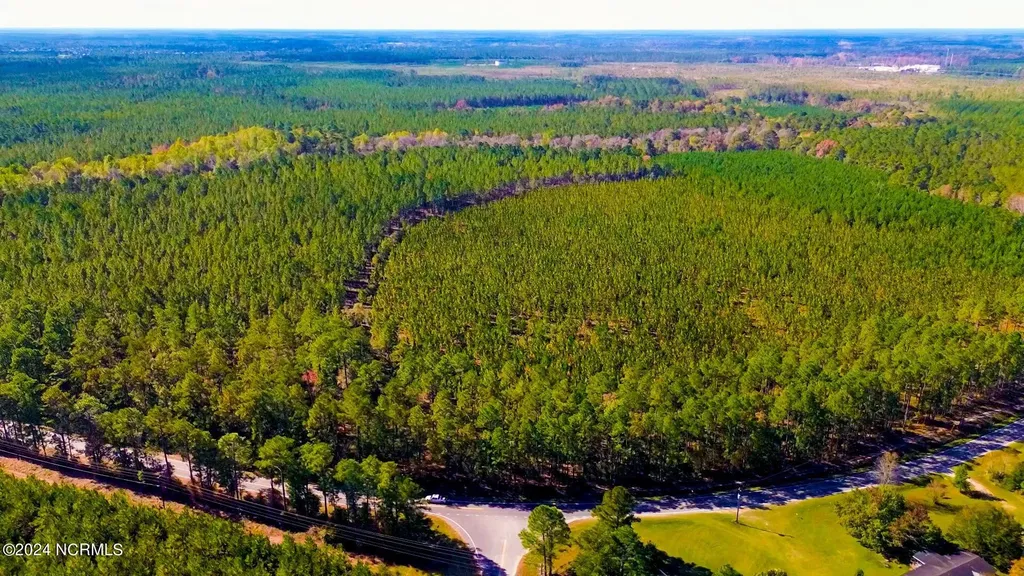 0 Mt Misery Road NE Leland NC 28451