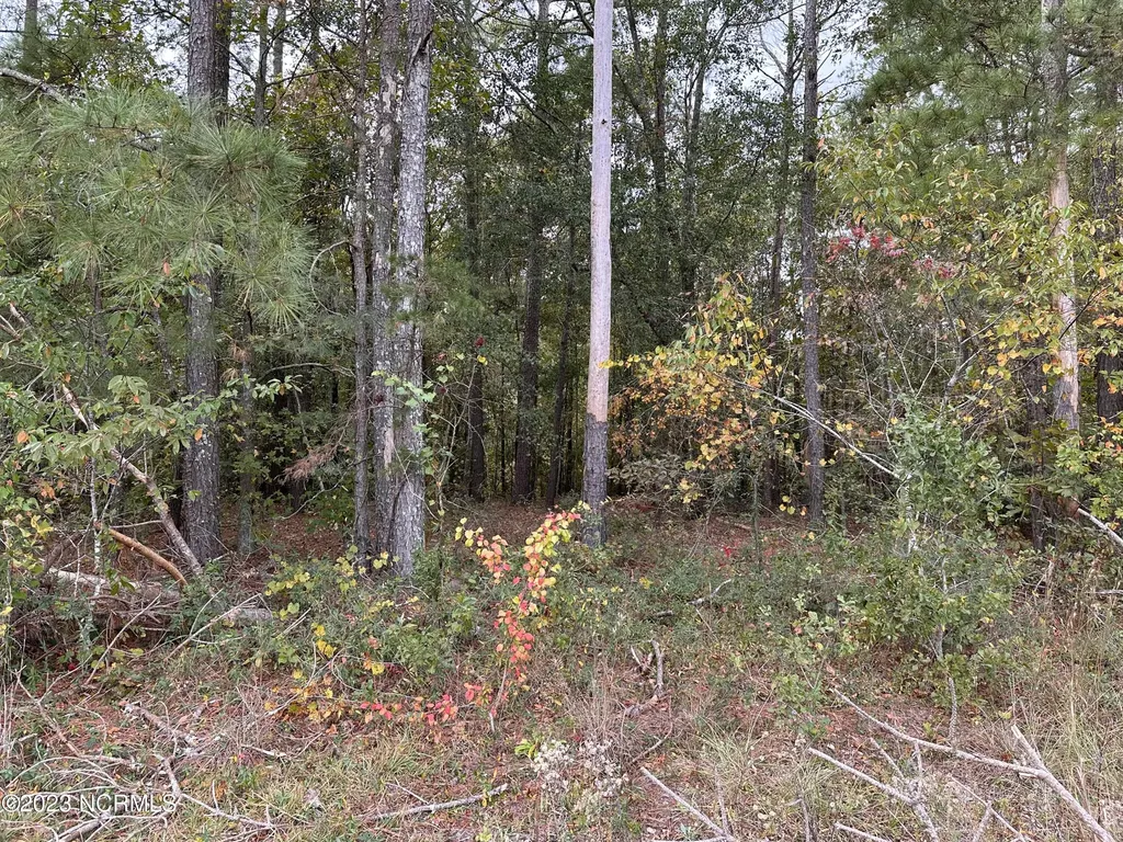 Tract 1 Matilda Drive Lumberton NC 28360