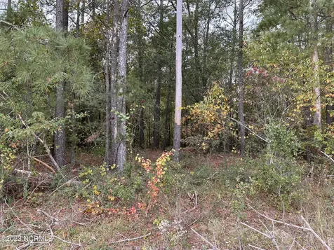 Tract 1 Matilda Drive Lumberton NC 28360