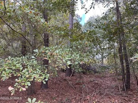 Tract 1 Matilda Drive Lumberton NC 28360