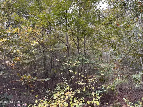 Tract 1 Matilda Drive Lumberton NC 28360