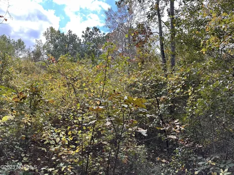 Tract 1 Matilda Drive Lumberton NC 28360