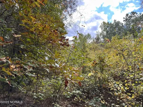 Tract 1 Matilda Drive Lumberton NC 28360