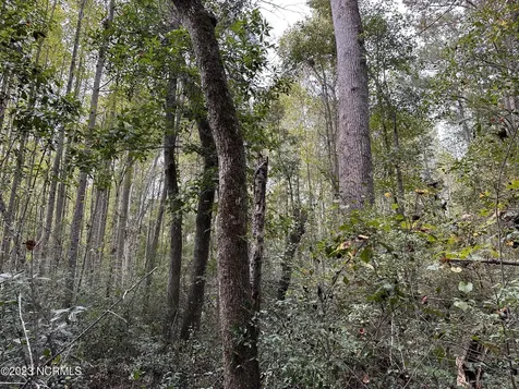 Tract 1 Matilda Drive Lumberton NC 28360