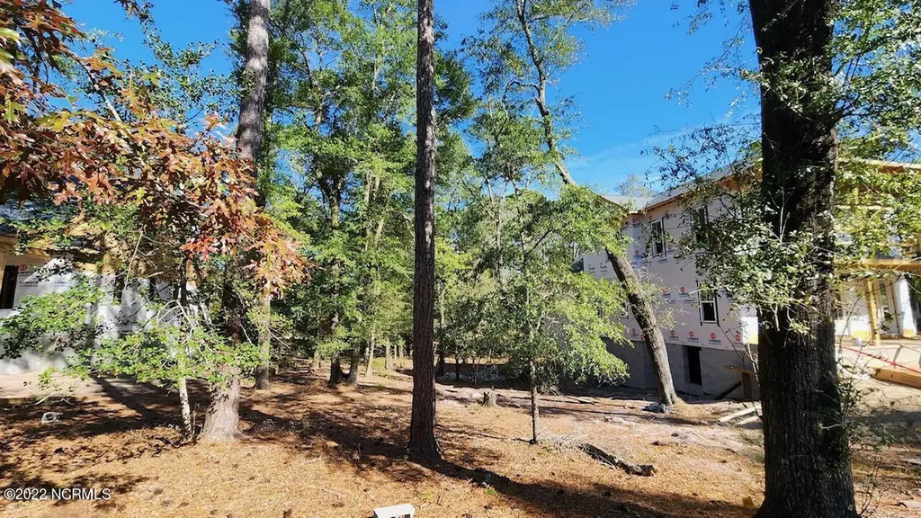 3714 White Cliffs Drive Castle Hayne NC 28429