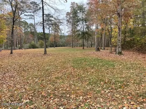 Lot 97 Winfield Lane Pinetown NC 27865