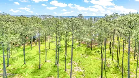 203 River Watch Road Oriental NC 28571