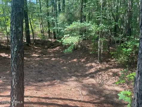 6802 Nc 33 Tarboro NC 27886