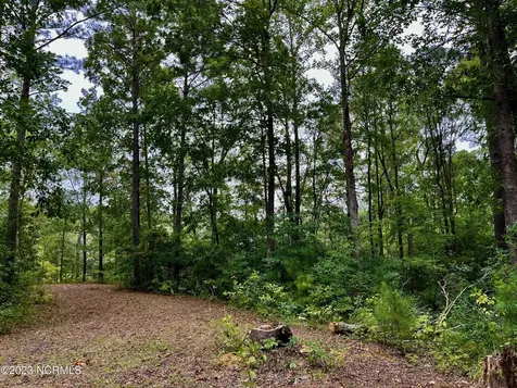 158 Fisher Turnpike Road Arapahoe NC 28510