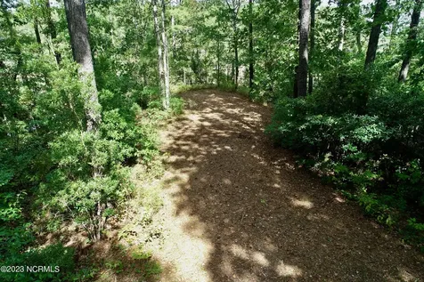 158 Fisher Turnpike Road Arapahoe NC 28510