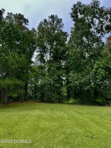 158 Fisher Turnpike Road Arapahoe NC 28510