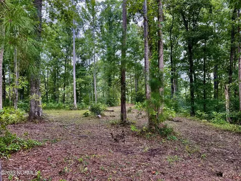 158 Fisher Turnpike Road Arapahoe NC 28510
