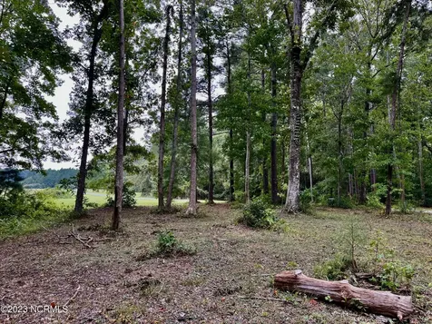 158 Fisher Turnpike Road Arapahoe NC 28510