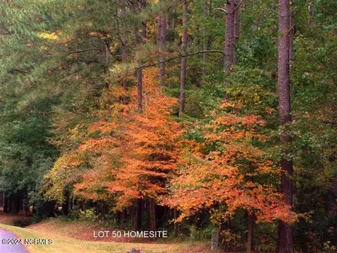 279 Mill Creek Lane Bath NC 27808