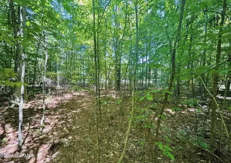 19 Meherrin River Drive Hertford NC 27944
