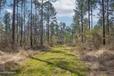 0 Nc-903 Stokes NC 27884