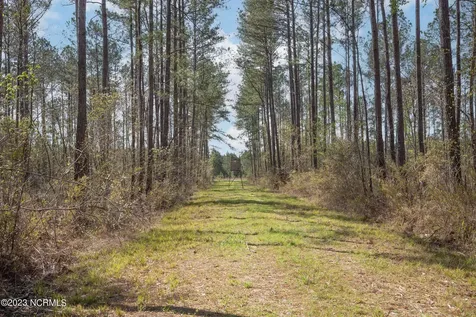 0 Nc-903 Stokes NC 27884