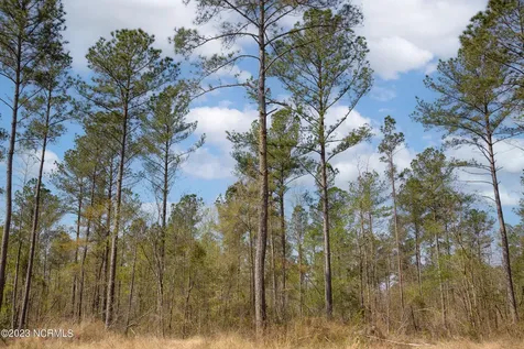 0 Nc-903 Stokes NC 27884