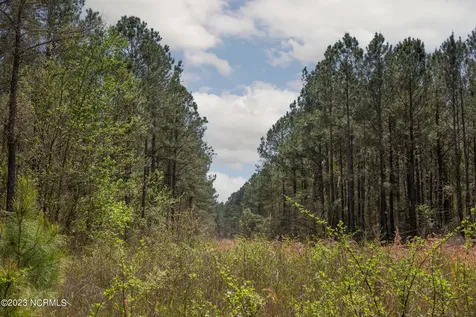 0 Gum Swamp Church Road Greenville NC 27834