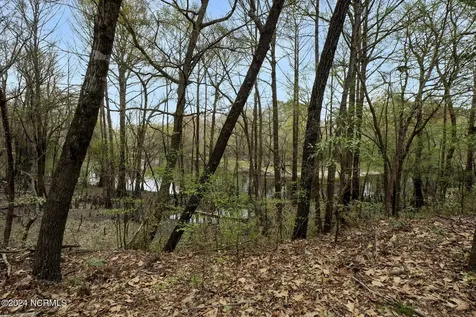 153 River Woods Drive Wallace NC 28466