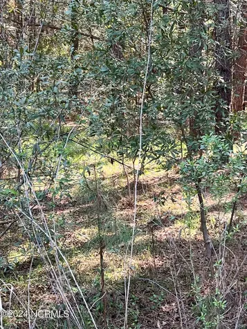 Lot 7 Treasure Cay Drive Belhaven NC 27810
