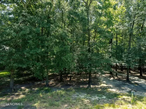 105 Legacy Oaks Drive Wallace NC 28466