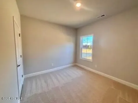 118 Firethorn Circle Wallace NC 28466