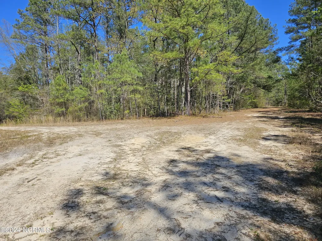 353 Indian Pipe Lane Vass NC 28394
