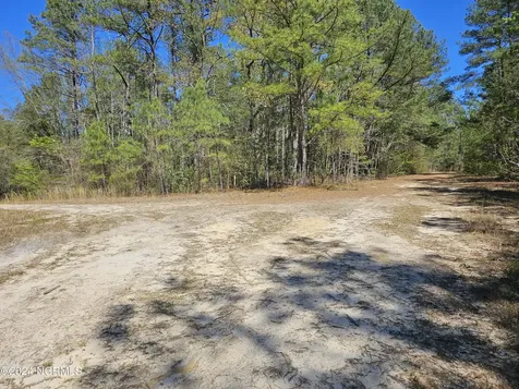353 Indian Pipe Lane Vass NC 28394