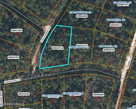 353 Indian Pipe Lane Vass NC 28394