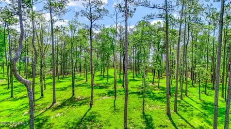175 River Watch Road Oriental NC 28571