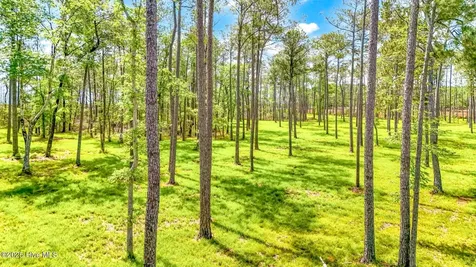 175 River Watch Road Oriental NC 28571