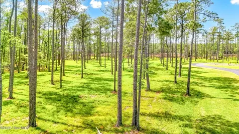 175 River Watch Road Oriental NC 28571