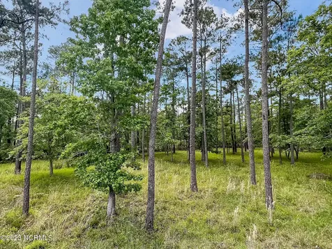 71 Mill Creek Lane Oriental NC 28571
