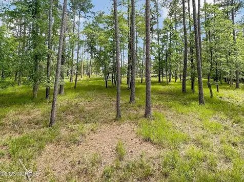71 Mill Creek Lane Oriental NC 28571